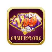 V99 