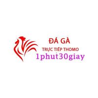 Đá Gà Trực Tiếp  Thomo Hôm Nay
