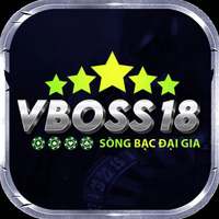 Vboss18 