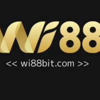 Wi88bit com