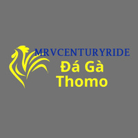 Đá Gà Trực Tiếp Thomo