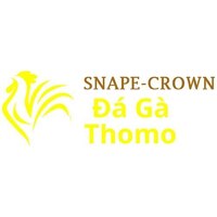 daga snape