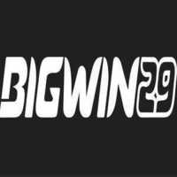 bigwin29 login 