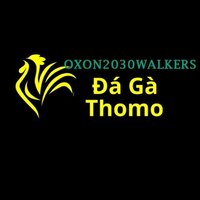 Đá Gà Trực Tiếp Thomo 