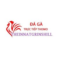 Đá Gà Trực Tiếp Thomo 