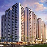 Prestige  Evergreen
