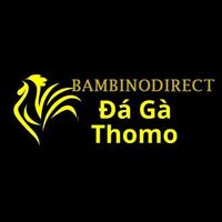 Đá Gà Trực Tiếp Thomo 