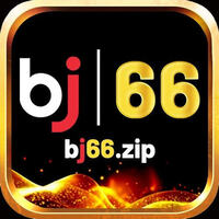 BJ66 Zip