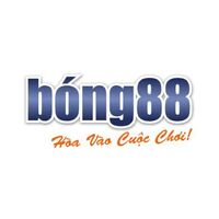 Bóng88 photos