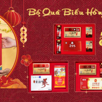 Cửa hàng sâm Hàn Quốc