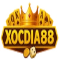 Xocdia88 ltd 
