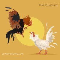 Thomohomnay 