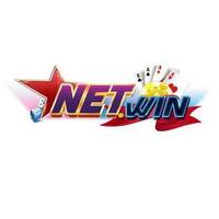netwins vin