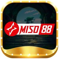 miso88 