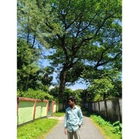 Akash  K