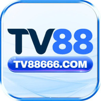 tv88666 com