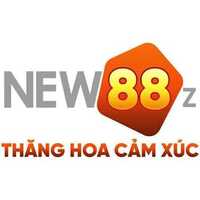 new88 zio