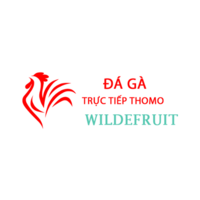 Da Ga Truc  Tiep Thomo