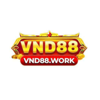 VND88  work