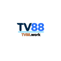 TV  88