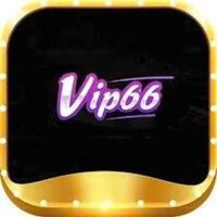 Vip66.study 