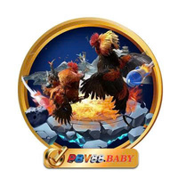 PBV88  Baby