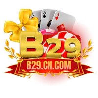 b29cn com