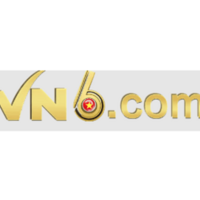 VN V6