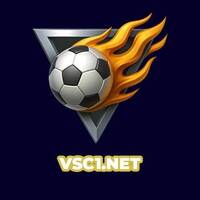 VSC Vua Sân Cỏ