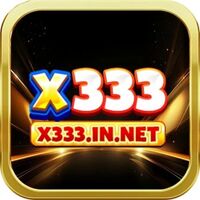 X333  IN NET 