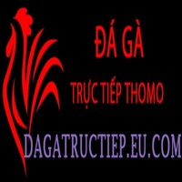 Đá Gà Trực Tiếp