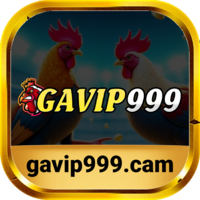 GAVIP999 SHOES