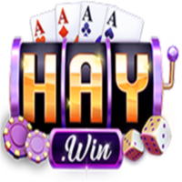 Haywin1 digital