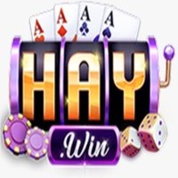 Haywin1 codes