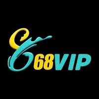 68VIP work