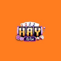 Haywin2 net