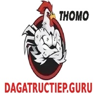 Đá Gà Trực Tiếp Guru