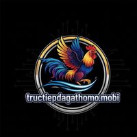 TRỰC TIẾP ĐÁ GÀ   THOMO