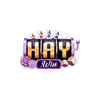 Haywin Studio