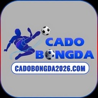Trang cá độ  bóng đá uy tín