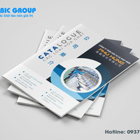 Thiết kế catalogue 