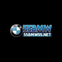 bmw  55