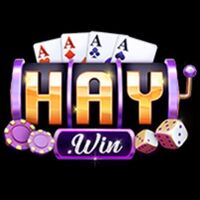 HAYWIN` 14COM