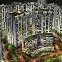 Sattva  City