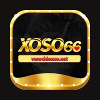 Vesochieuxo net