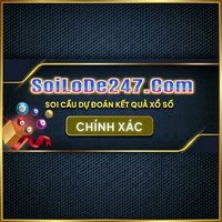 Soi  Cau 247