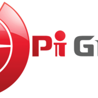 PICITY PI GROUP