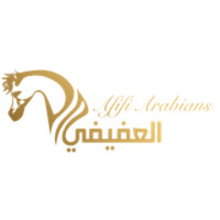 Afifi Arabians 