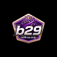 B29 us org