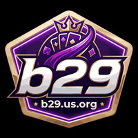 B29 us org